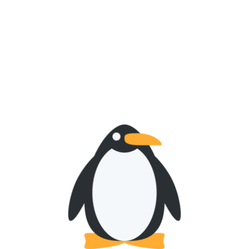 animation-head